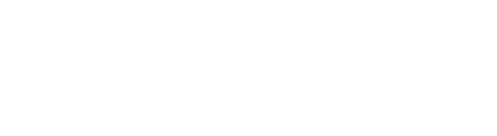 Fabricius logo